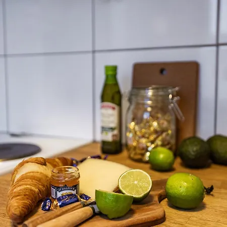 公寓 Arctic River 罗瓦涅米